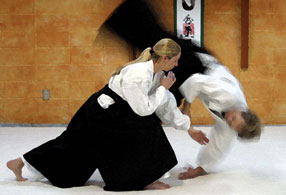 TALLER DE AIKIDO